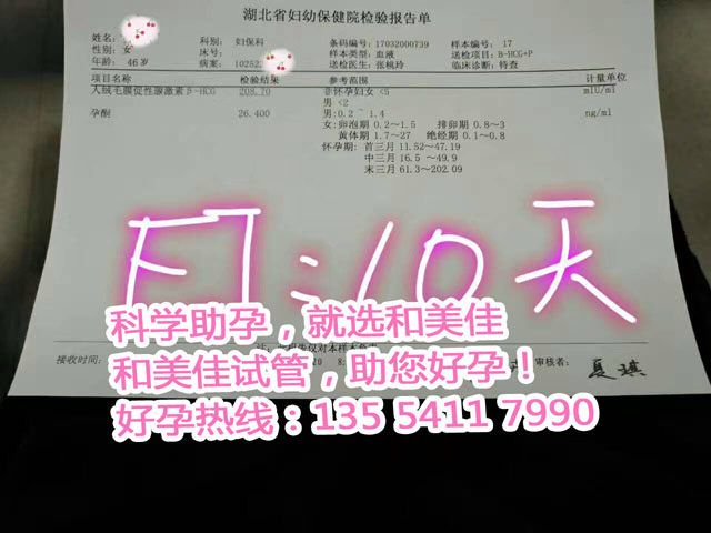 移植10天验孕，HCG和孕酮都还不错