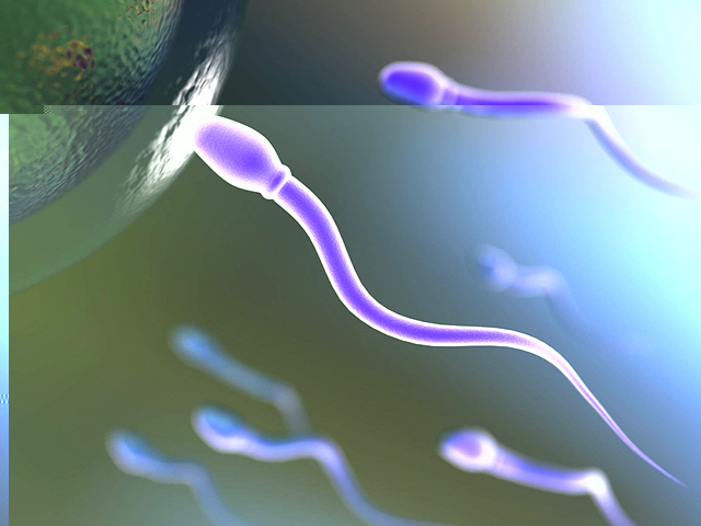 无精、少精、弱精、畸精、死精如何调养