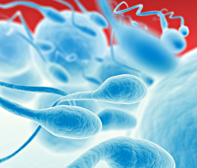 无精、少精、弱精、畸精、死精如何调养