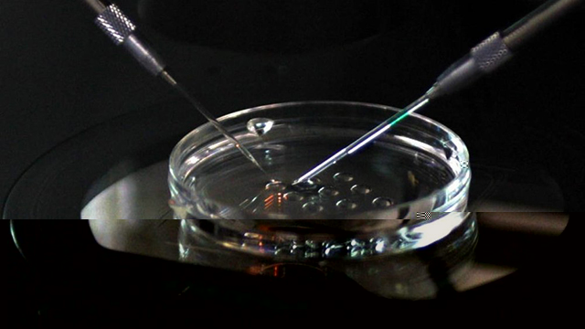 胚胎宝宝在母体的体外会用到哪些培养液？