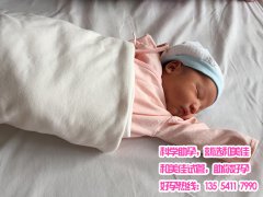 子宫受损代妈助孕 喜获健康男宝宝