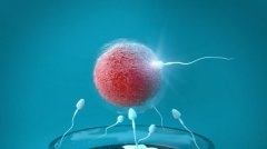 试管婴儿取卵小知识