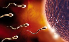 取卵前心理准备