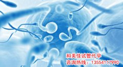 优质胚胎着床率并非百分百