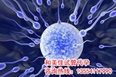 破卵针的作用是什么